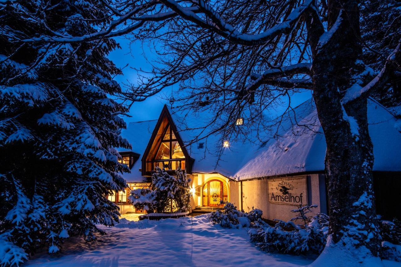Landhaus Amselhof Hinterzarten Zewnętrze zdjęcie